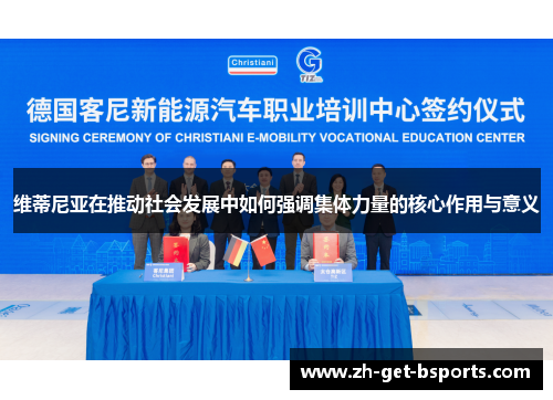 维蒂尼亚在推动社会发展中如何强调集体力量的核心作用与意义