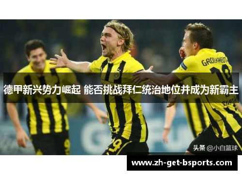 德甲新兴势力崛起 能否挑战拜仁统治地位并成为新霸主